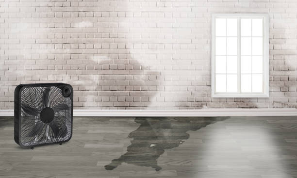 Best Fire Damage Restoration  in Aldan, PA