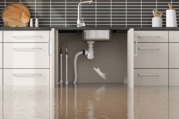 Best Emergency water damage restoration  in Aldan, PA